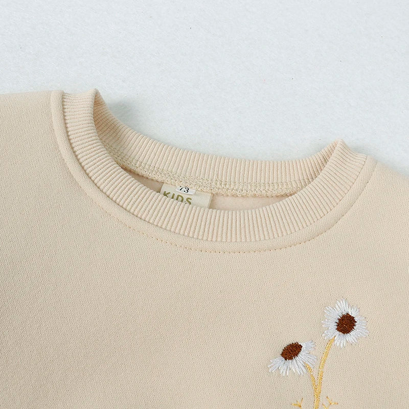 2025 New Baby Boy Girl Clothing Sets Toddler Embroidery Sweatshirt Suit Thick Clothes Baby Girl Pullover Tops+ Pant Suits Autumn