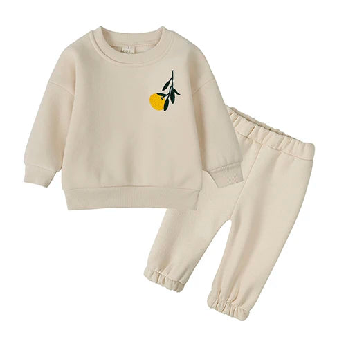 2025 New Baby Boy Girl Clothing Sets Toddler Embroidery Sweatshirt Suit Thick Clothes Baby Girl Pullover Tops+ Pant Suits Autumn