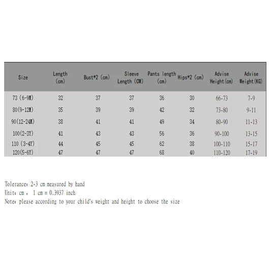 2025 New Baby Boy Girl Clothing Sets Toddler Embroidery Sweatshirt Suit Thick Clothes Baby Girl Pullover Tops+ Pant Suits Autumn