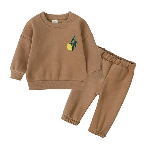 2025 New Baby Boy Girl Clothing Sets Toddler Embroidery Sweatshirt Suit Thick Clothes Baby Girl Pullover Tops+ Pant Suits Autumn