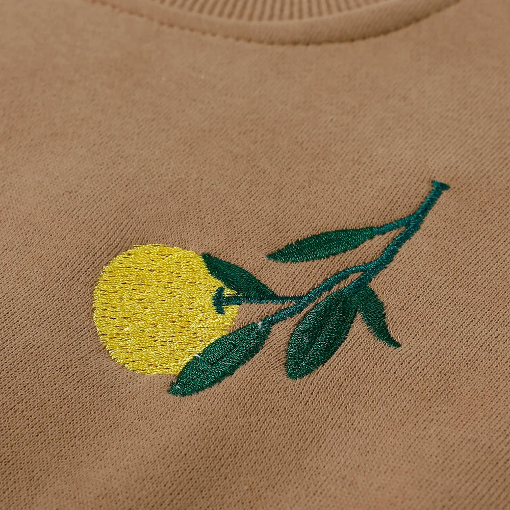 2025 New Baby Boy Girl Clothing Sets Toddler Embroidery Sweatshirt Suit Thick Clothes Baby Girl Pullover Tops+ Pant Suits Autumn